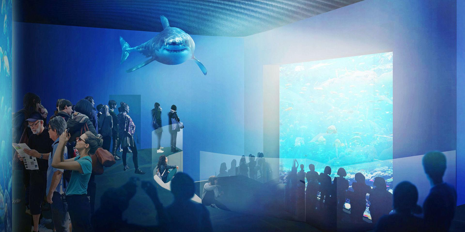 Såhär ska det bli. Illustration visar planer på hur det kommer att se ut inne i det nya Sjöfartsmuseet.