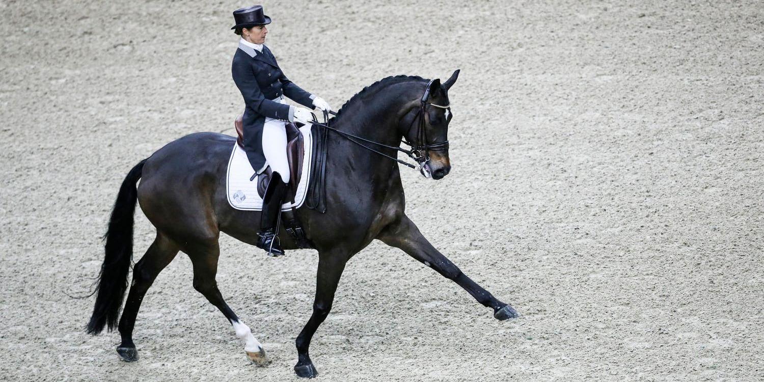 Tinne Vilhelmson Silfvén har bestämt sig för att tävla på hästen Don Auriello i VM i USA i september. Arkivbild