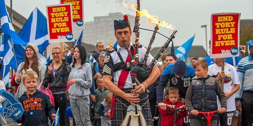 Säckpipeblåsaren Ryan Randall leder pro-skotska väljare under folkomröstningen i Edinburgh.