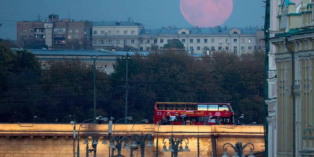 Den röda månen stiger över centrala Moskva på onsdagskvällen.