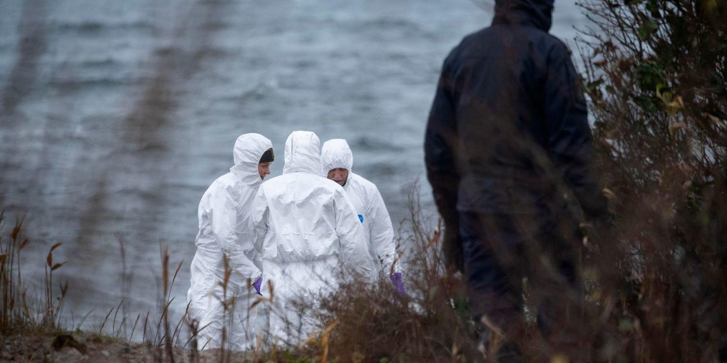 En kropp har hittats på en strand i närheten av Trelleborg.