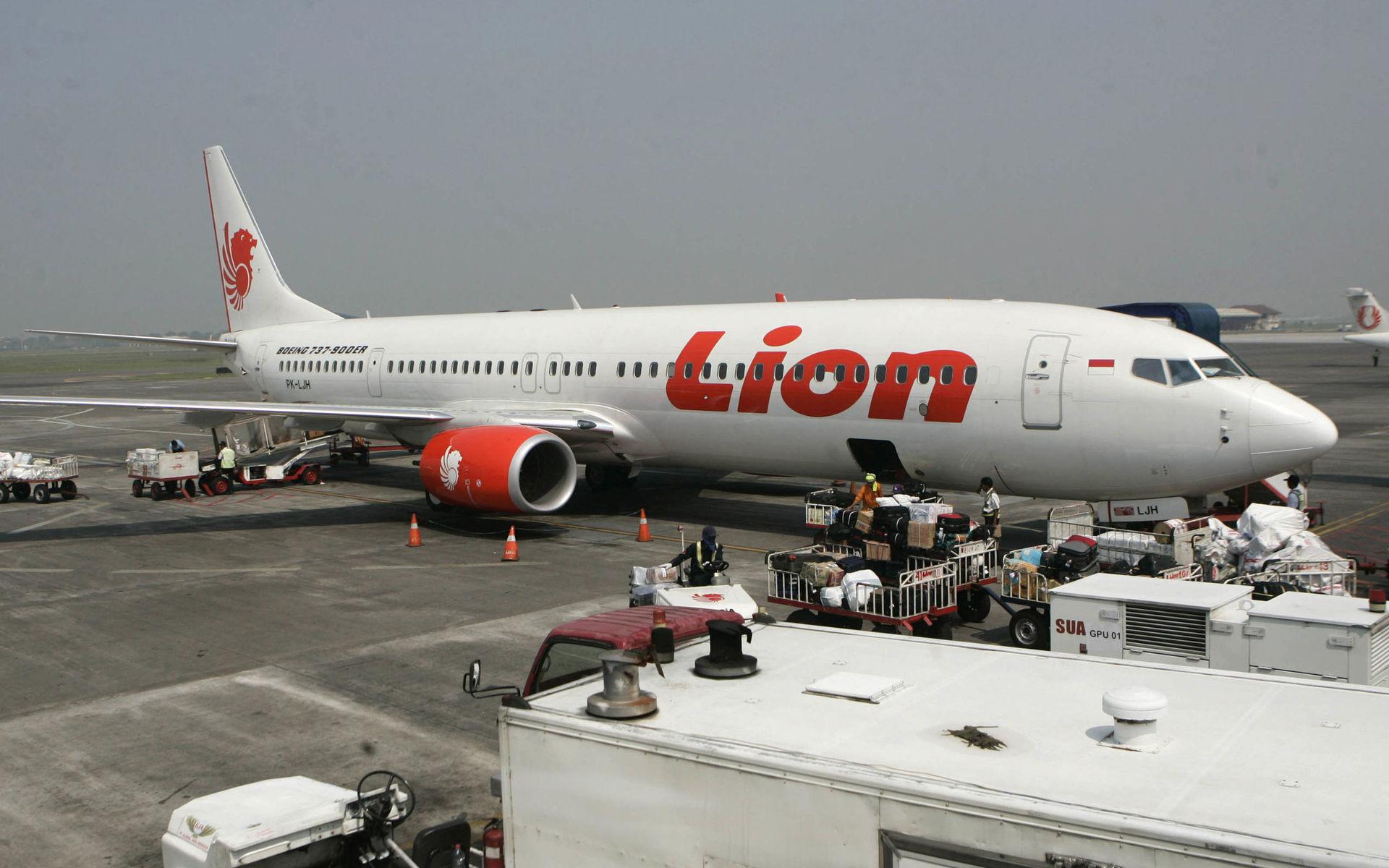 Lågprisbolaget Lion Air är sydöstra Asiens näst största lågprisflygbolag. Bilden föreställer inte det aktuella planet.