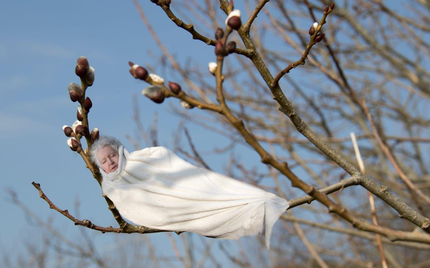 Videung. Eivor Jansson i gestaltning av lilla Videung som sover på sin gren i månaden februari. Bild: Britt-Inger Olsson