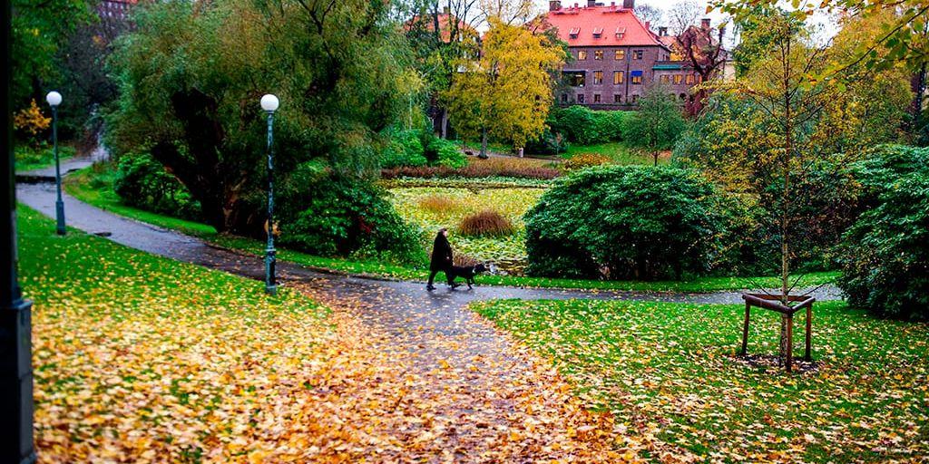 I många fall tillkom stadens parker och grönområden genom donationer. Vi har fått ett arv som vi måste förvalta, skriver Vägvalets Theo Papaioannou och Anders Åkvist.