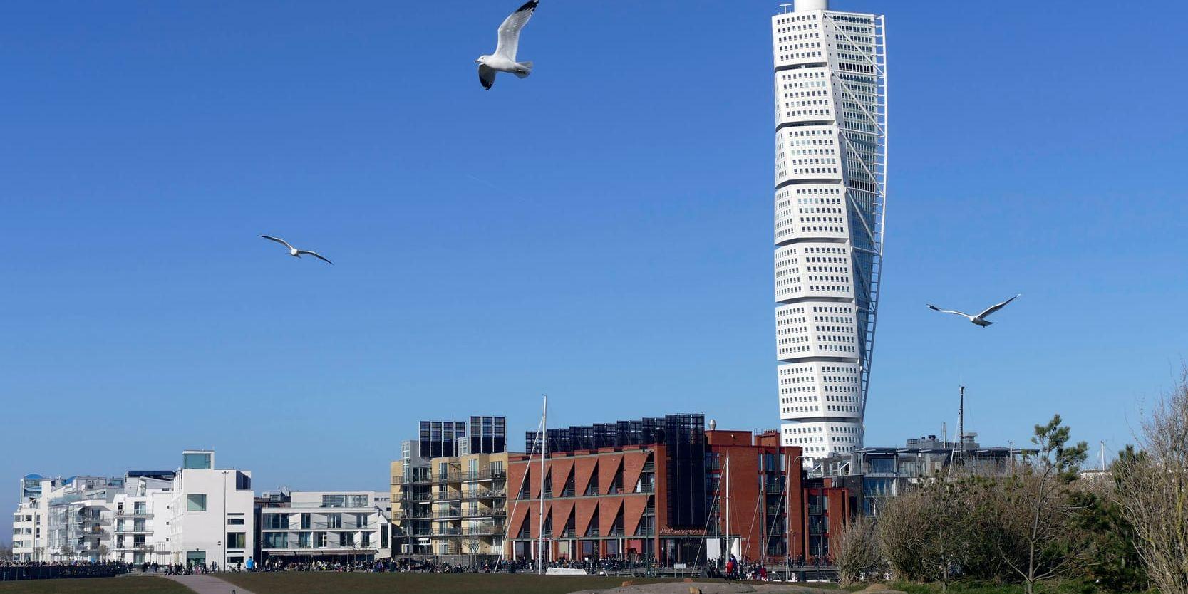 Ska Turning Torso i Malmö få en nästan hundra meter högre konkurrent i Köpenhamn? Arkivbild.