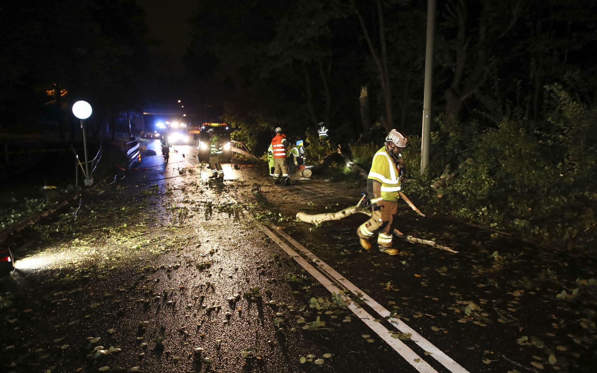 Räddningstjänsten var snabbt på plats för att få bort trädet från bilen och vägen. 