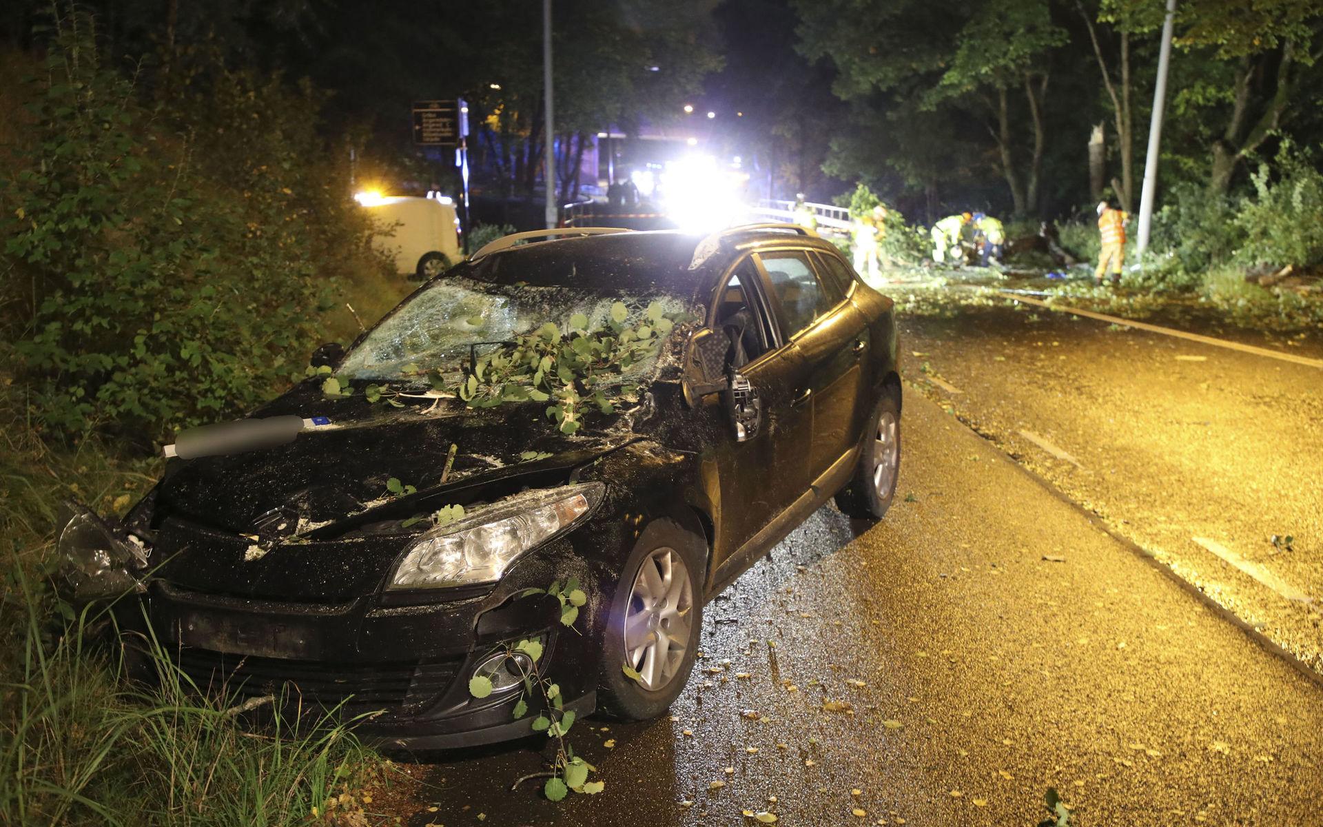 Ett träd föll över en bil på Gamlestadsvägen under fredagskvällen. 