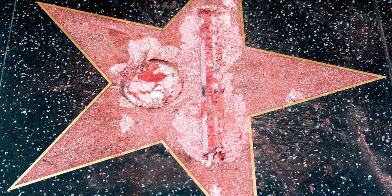 Donald Trumps stjärna på Hollywood Walk of Fame i Los Angeles.