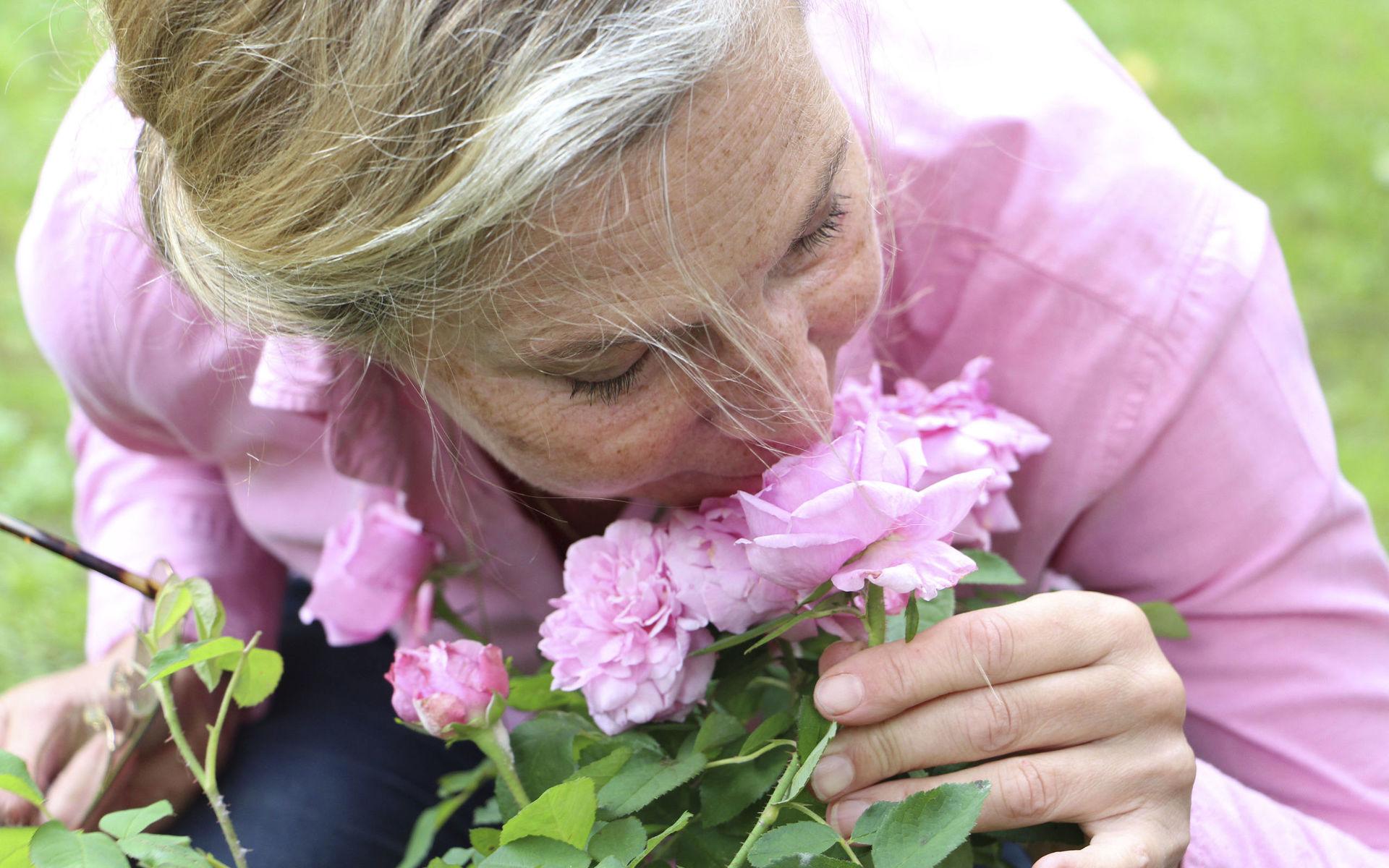 Doften är en av rosornas många fördelar tycker Christina Högardh-Ihr.