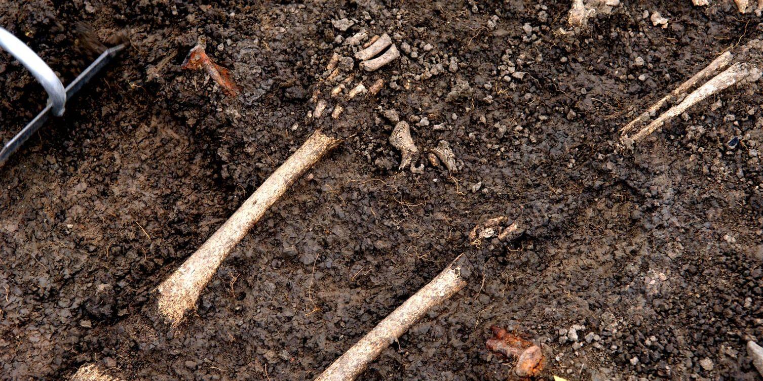 Skelettdelar av barn från en medeltida kyrkogård har grävts upp under markarbeten i centrala Lund. Skelettdelarna på bilden påträffades dock 2007 i en tusen år gammal barngrav i Såstaholm norr om Stockholm. Arkivbild.