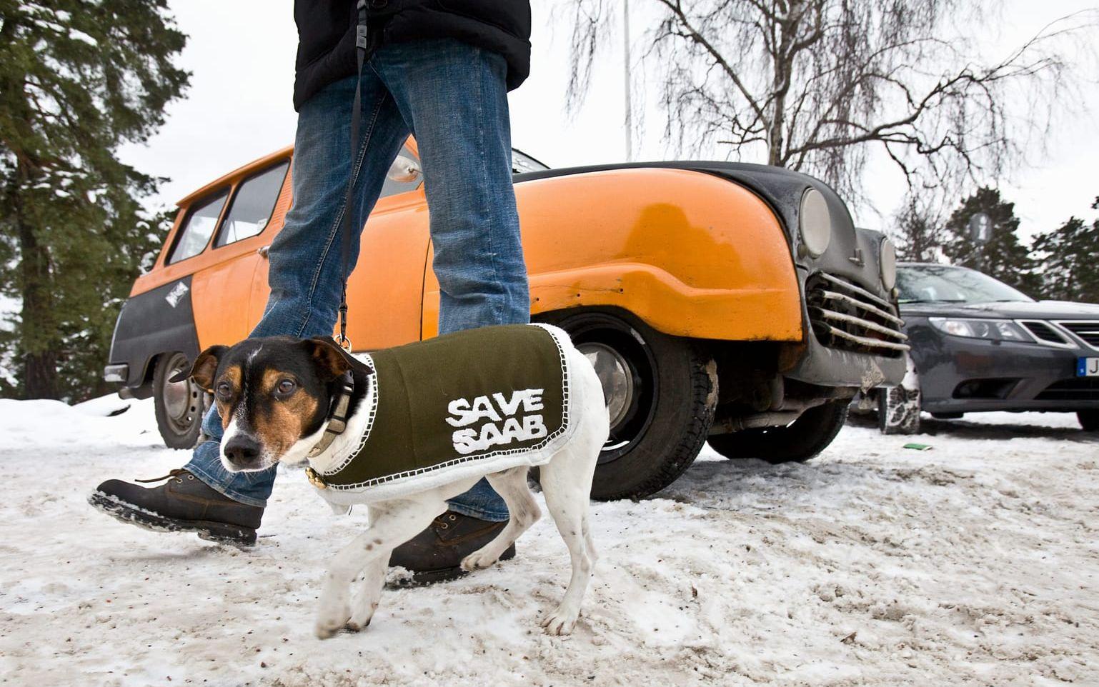 16 januari 2010: En bilkonvoj för att rädda Saab bildades, då ringlade sig köerna av bilar lång in till Stallbackafabriken. Fantasin var stor och det fanns även fyrbenta aktivister. Bild: Stefan Bennhage