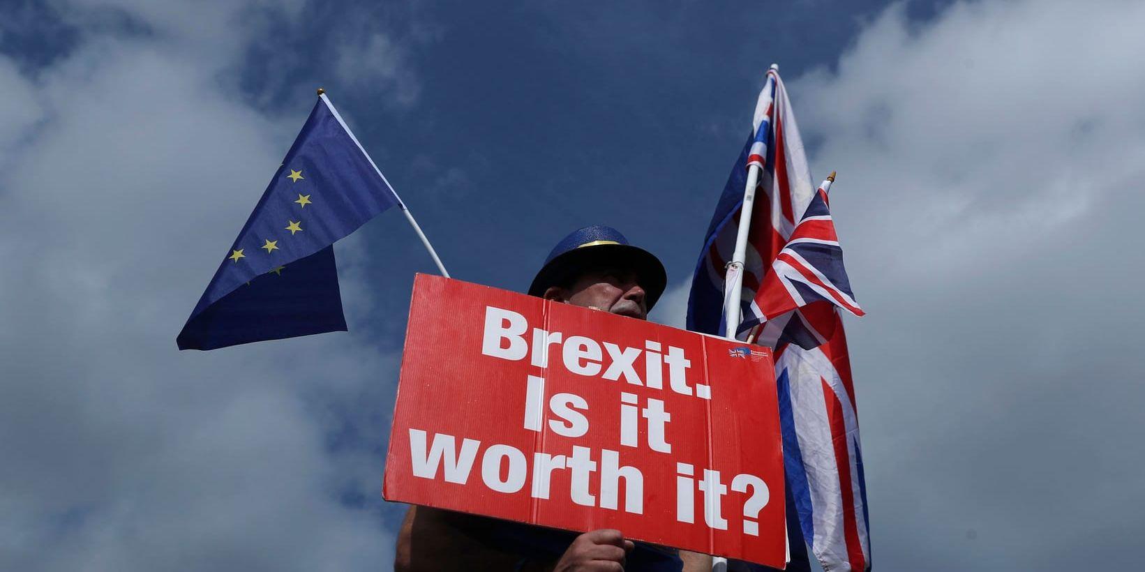 "Brexit, är det värt det?", undrar en demonstrant utanför Westminster i London.
