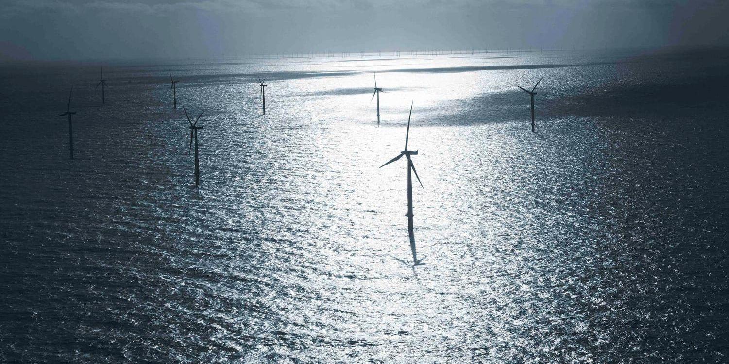 Energijätten Dong Energy ska utreda förutsättningarna för totalt fem vindkraftsparker i havet utanför Skåne, Blekinge och Gotland. Arkivbild.