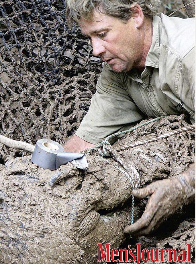 2006 dog Steve Irwin efter att ha blivit stucken av en stingrocka. Vid olyckstillfället höll han på att göra en undervattensdokumentärfilm. Foto: TT.