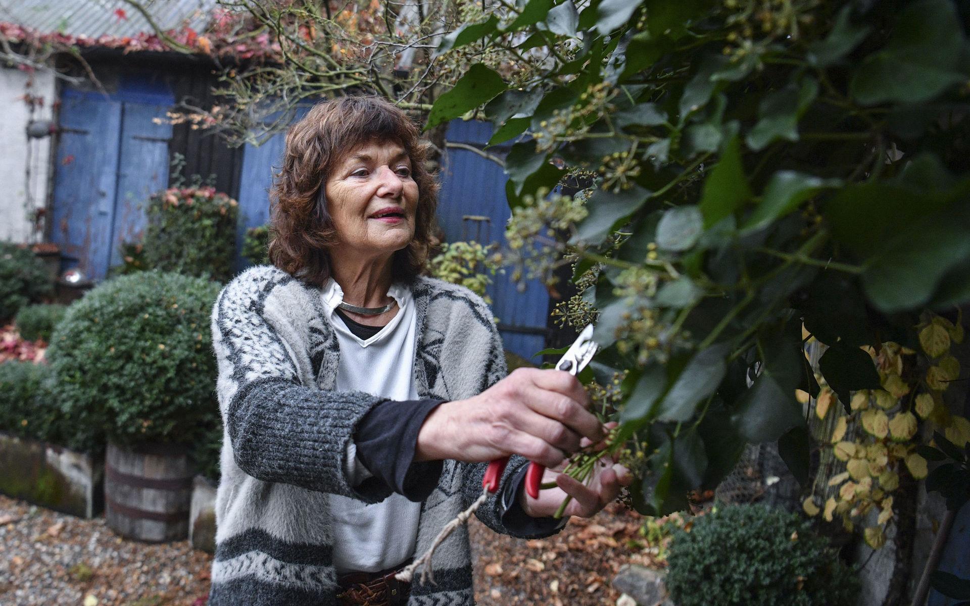 För Heidi Palmgren är trädgårdsarbete ett sätt leva. Hon gillar att ha grundstruktur men tycker också att man ska anpassa sig efter växterna.