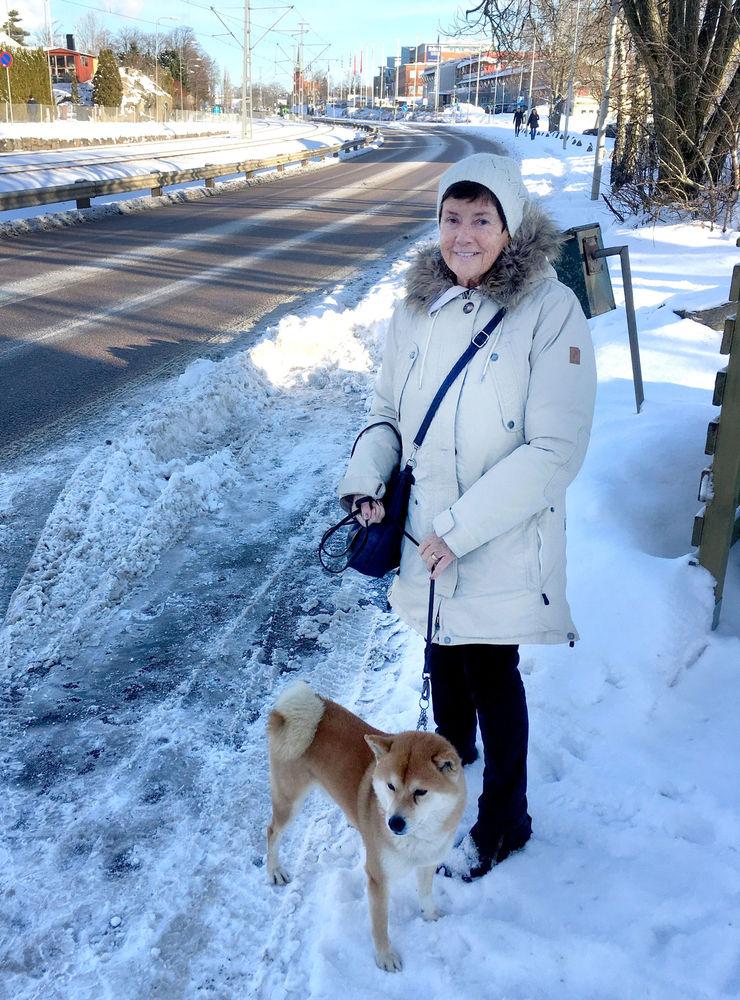 På Inga-Lill Masuch dagliga promenadsträcka på Torgny Segerstedtsgatan var bara delar av trottoaren skottade i förmiddags när hon skull rasta hunden Mikko. 