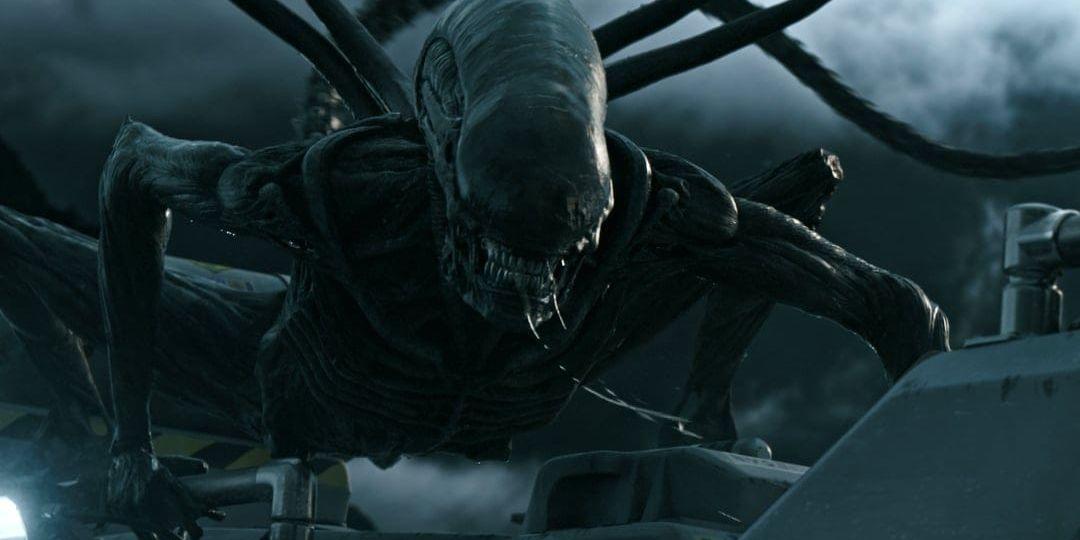 Alienmonstret tillbaka i Ridley Scotts nya Alien: Covenant. Bild: Twentieth Century Fox
 