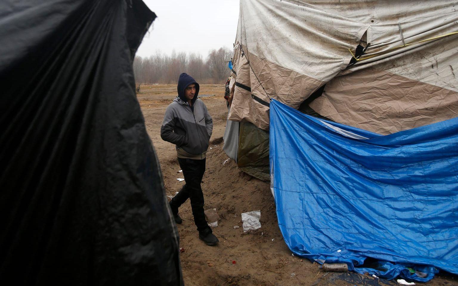 Improviserad flyktingläger vid den ungerska gränsen. Bild: TT