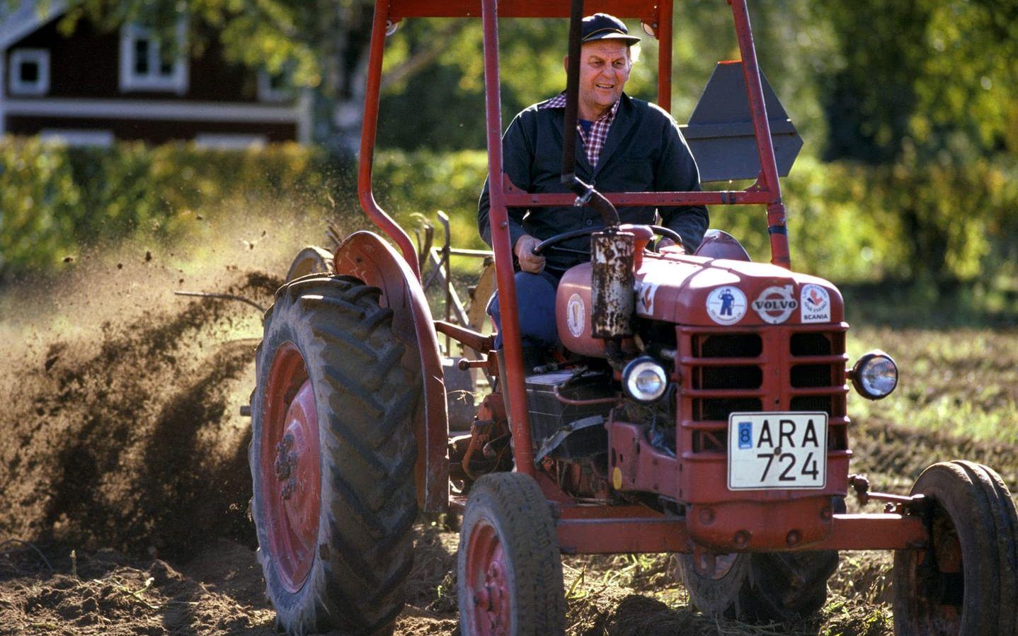 21 september 1985. Centerpartiets ledare Thorbjörn Fälldin kör traktor på lantbruket i Ramvik norr om Härnösand. Foto: Rolf Hamilton/SCANPIX