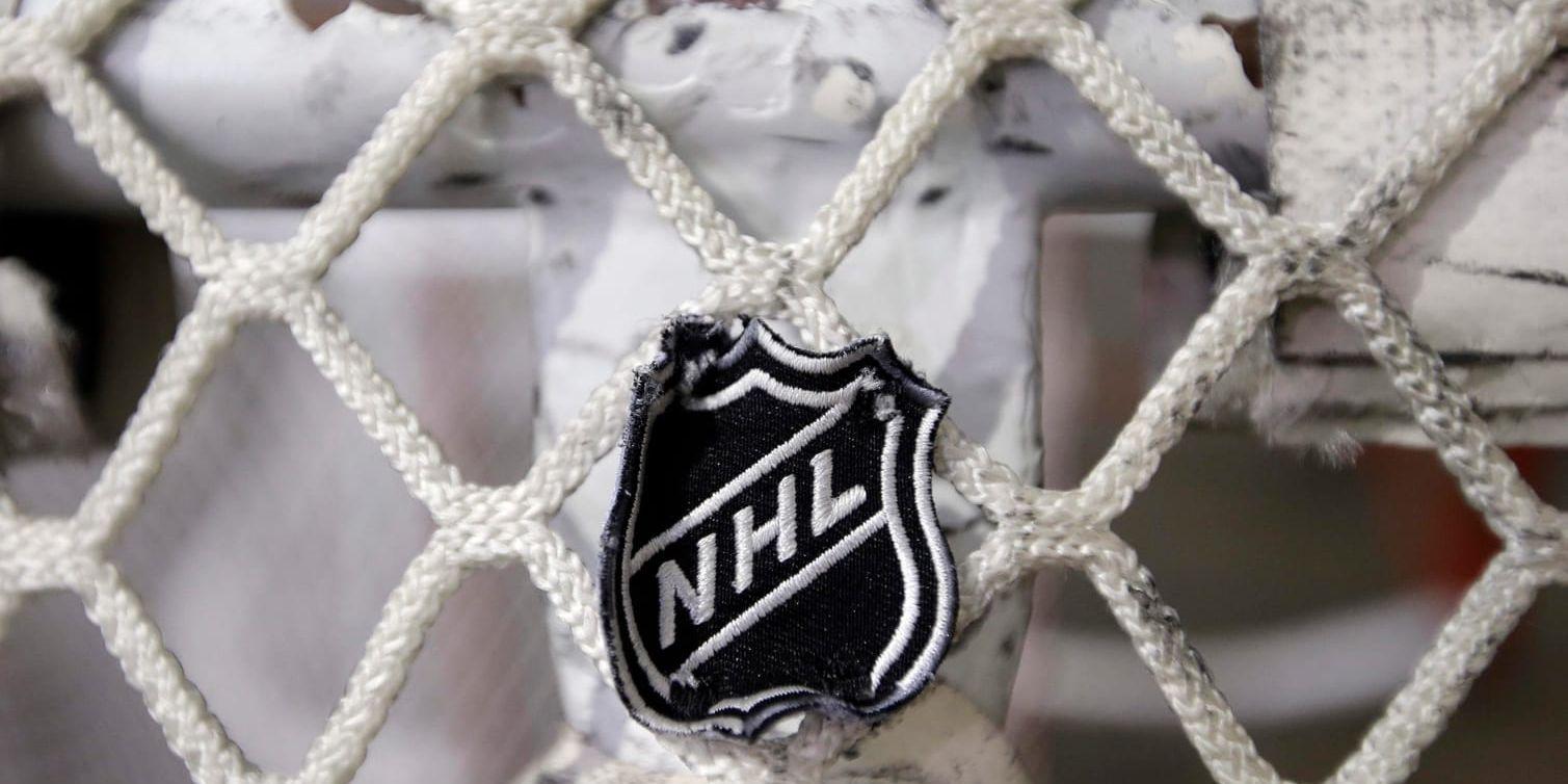 En tredje svensk stad efter Stockholm och Göteborg kan bli aktuell för NHL-matcher framöver, enligt vicechefen Bill Daly. Arkivbild.