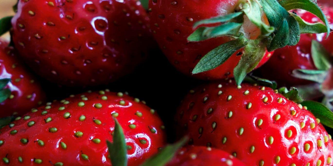 Svenska jordgubbar är för många ett måste på midsommarafton. Arkivbild.