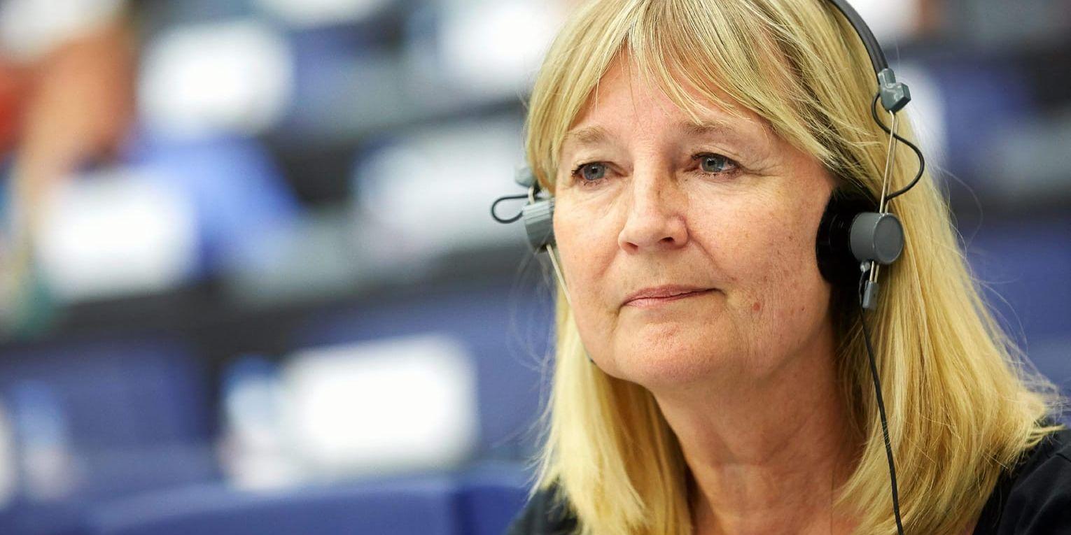 Marita Ulvskog (S), Europarlamentariker
