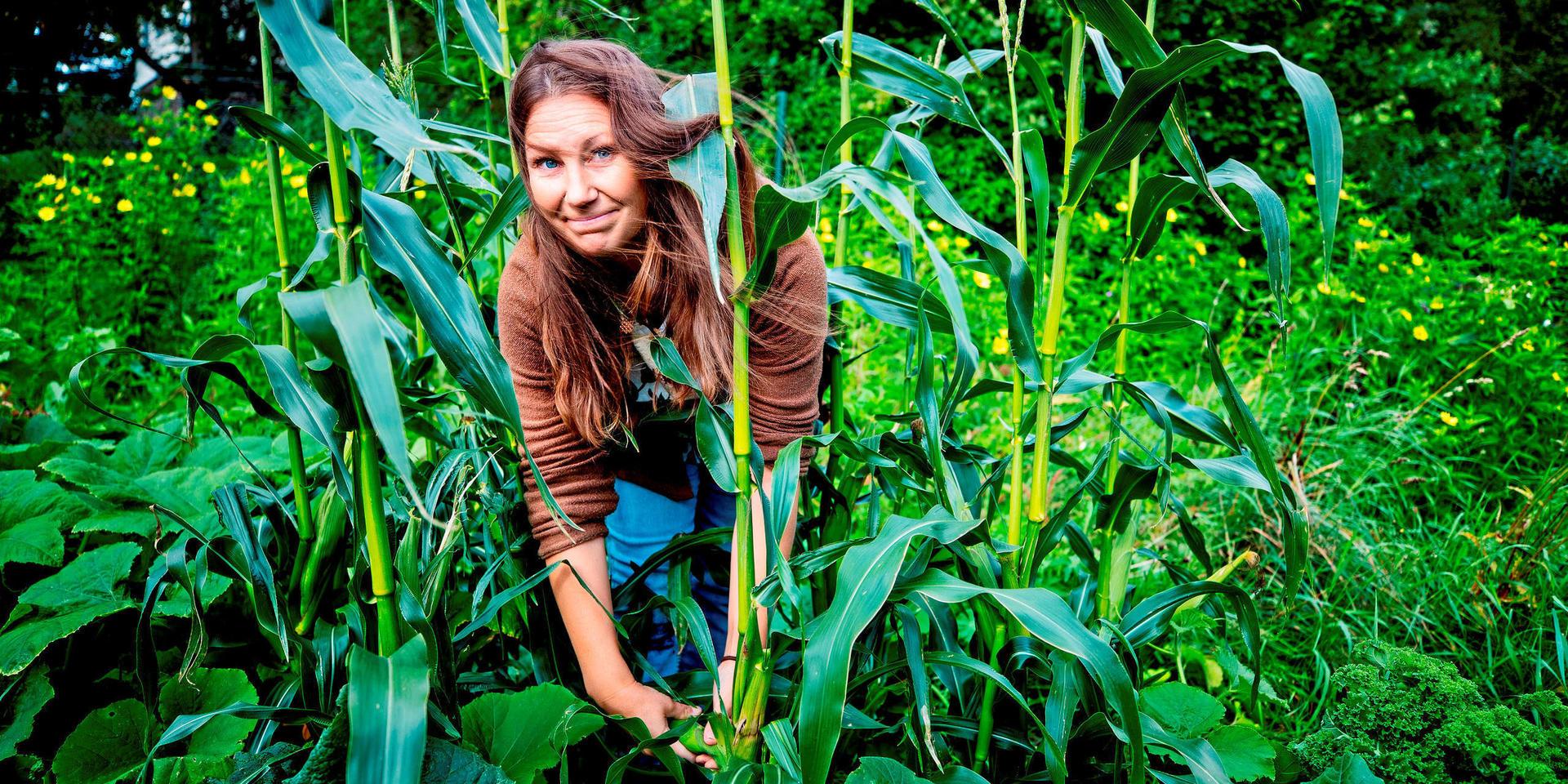 I februari nästa år blir Åsa Söderberg färdig med sin utbildning till trädgårdsmästare och då ska hon bland annat satsa på att odla kommersiellt i Renströmska parken.
