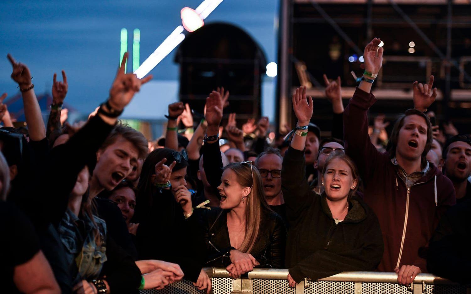 I publikhavet under Håkan Hellströms konsert på Bråvalla-festivalen ska en våldtäkt ha ägt rum. FOTO: TT
