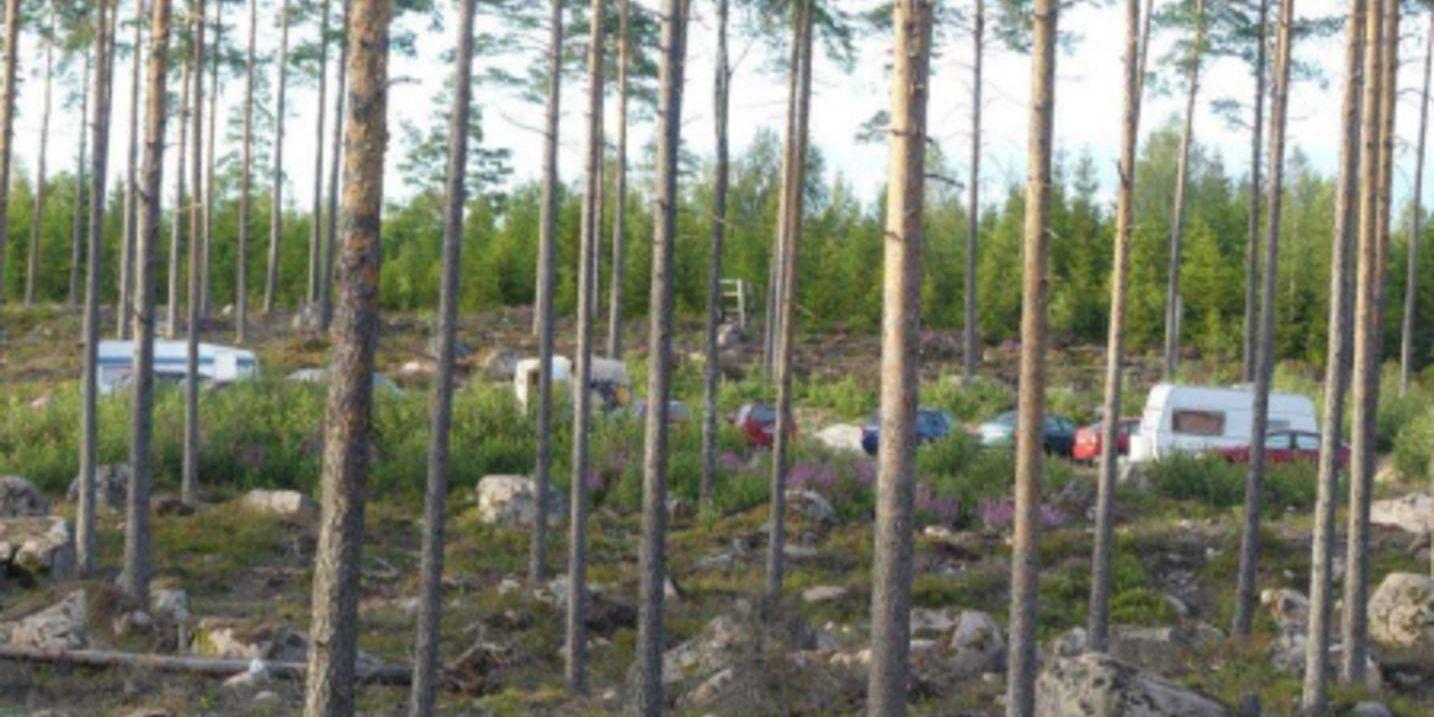 Ett av lägren i skogen utanför småländska Hovmantorp där flera av de utsatta har bott när de tvingats tigga i Sverige. Åtta män har nu åtalats misstänkt för människohandel och medhjälp till brottet.
