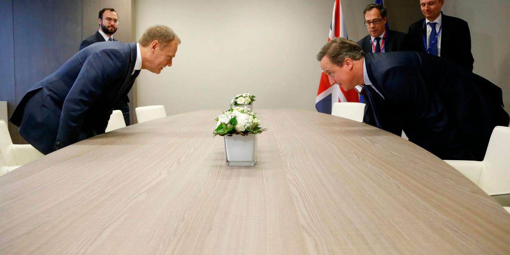 I vintras enades Storbritannien, här i form av premiärminister David Cameron, och EU, här med EU:s ordförande Donald Tusk, om begränsningar av förmåner som EU-immigranter kan få i det förenade kungariket. Arkivbild.