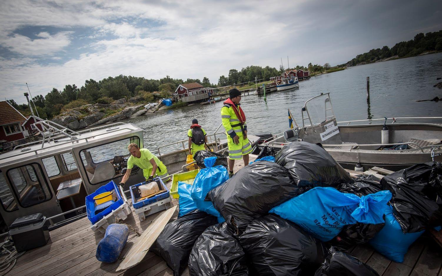 På tre timmar blev skräpskörden 25 fulla sopsäckar, åtta fiskelådor och en dunk med tio liter bensin. Bild: Olof Ohlsson