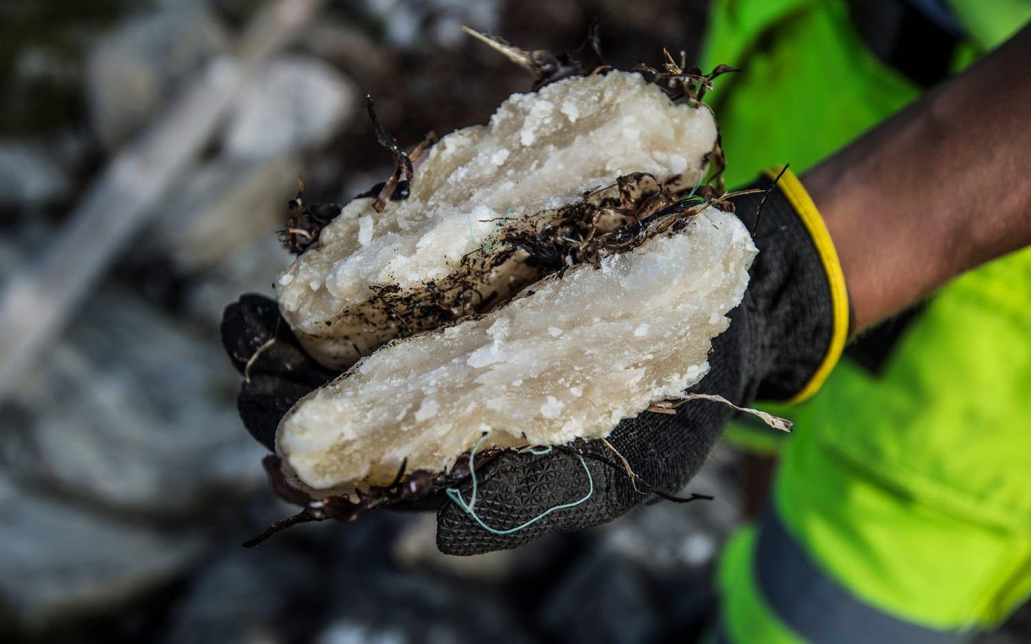 Stora klumpar med paraffin har sköljt upp på Galterö. Tidigare fynd av samma sak, exempelvis i Skåne, har visat sig härstamma från fartyg som rensat sina tankar i havet. Bild: Olof Ohlsson