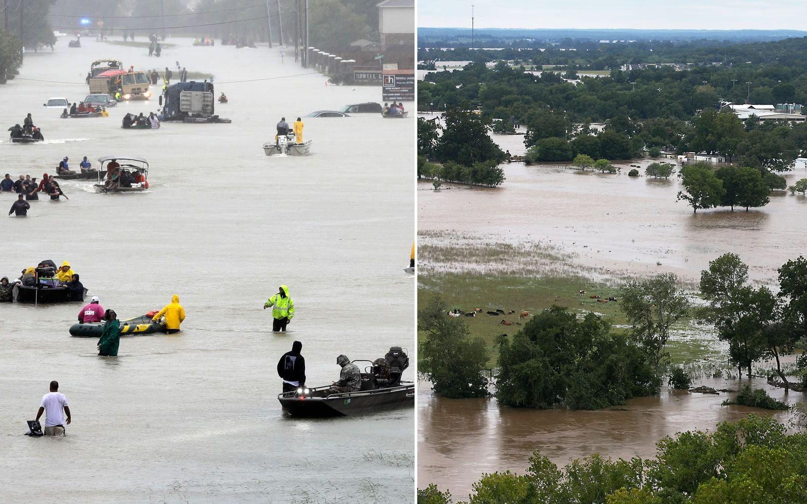 Områden lika stora som ytan av 15 Manhattan uppges vara översvämmade i miljonstaden Houston i Texas. FOTO: TT