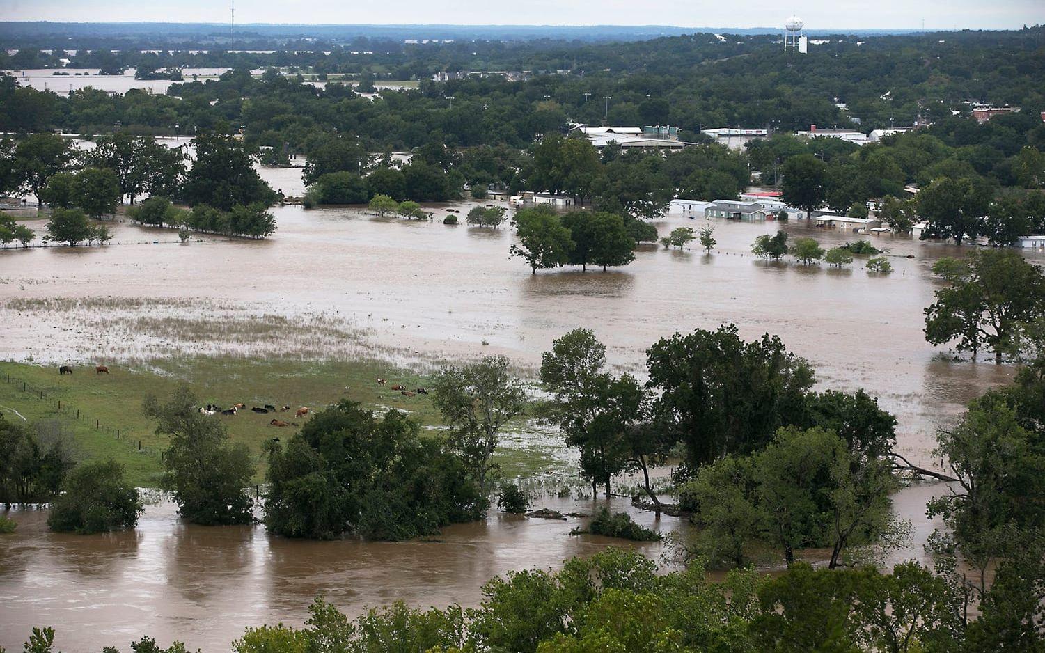 Bilden visar översvämningar i Colorado River, Texas. Bild: TT