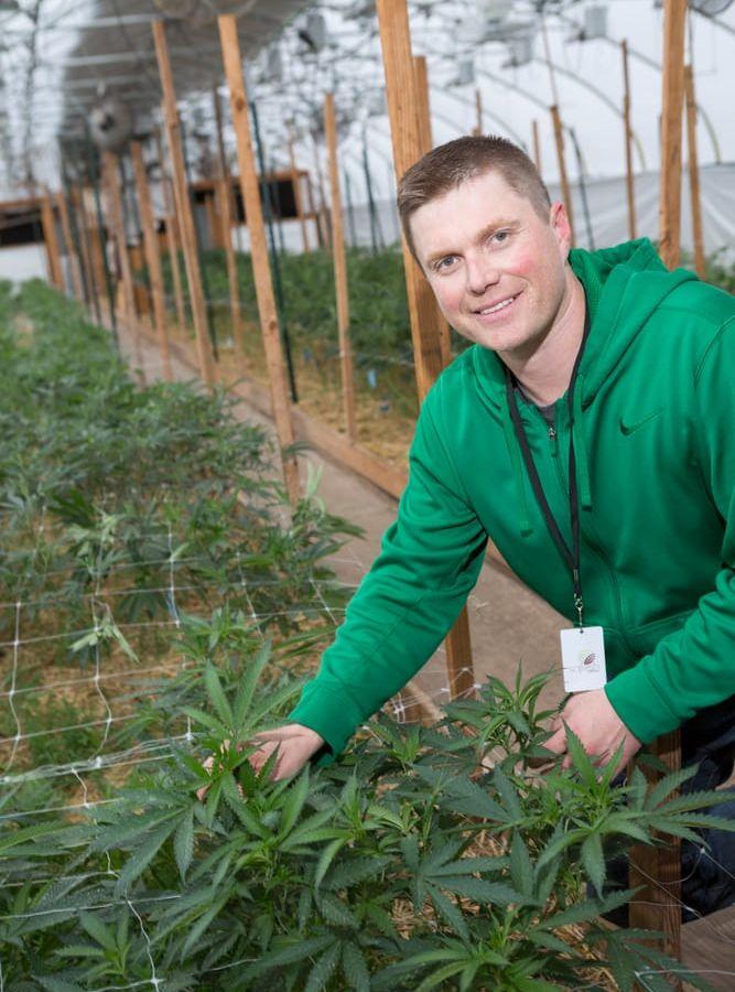 Odlare. Tyson Haworth driver företaget So Fresh Farms som odlar ekologisk marijuana.Bild: Christina Sjögren
