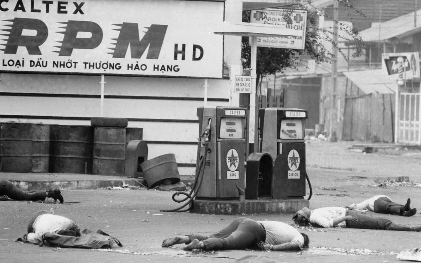 Kropparna av sju personer som avrättades av FNL ligger på gatan i Saigon, 9 februari 1968. Inför Tetoffensiven hade FNL gjort upp listor över personer som skulle avrättas i erövrade områden. Alla personerna har försetts med ögonbindlar. Arkivbild
