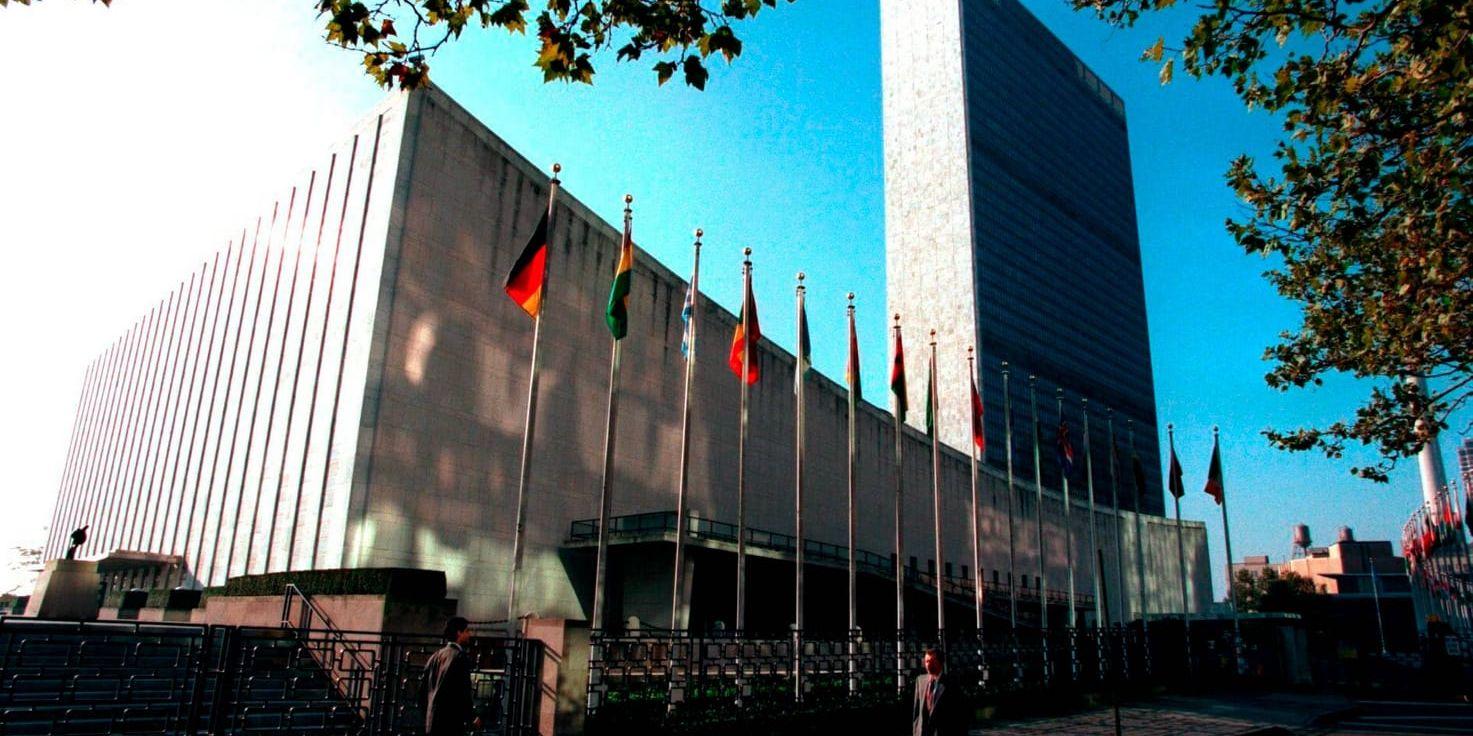 FN:s säkerhetsråd diskuterade i går den kongolesiska utredningen om mordet på svenska Zaida Catalán. Arkivbild.