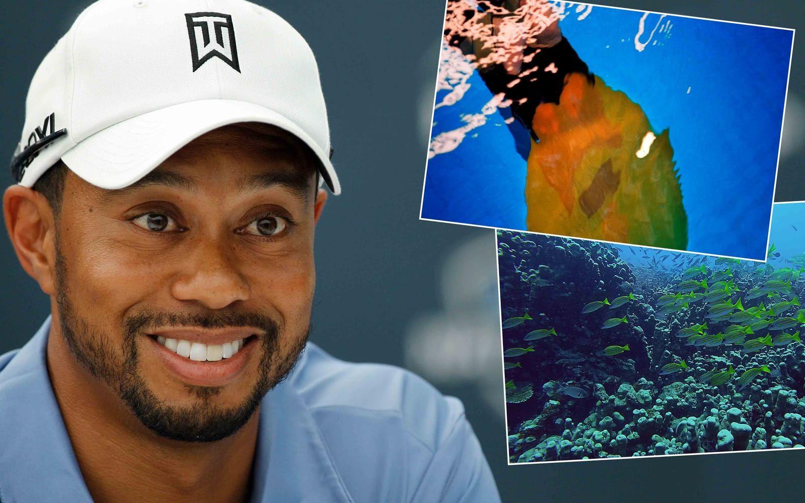 <strong>Tiger Woods, harpunfiske.</strong> Golfstjärnan älskar att dyka ner i havet och fiska med harpun. Foto: TT