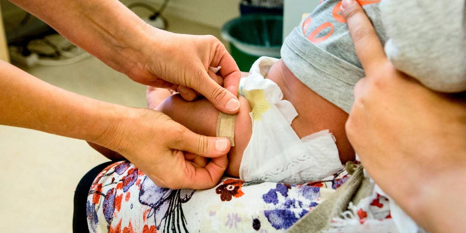 Ett litet barn får ett plåster efter att ha fått en vaccinspruta i benet. Arkivbild.