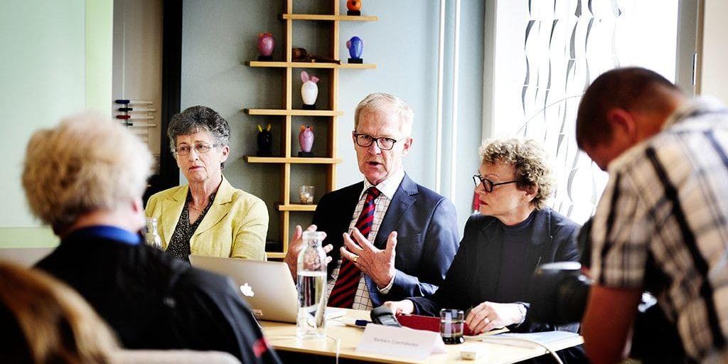 Professorerna Lena Marcusson, Erik Amnå och Barbara Czarniawska presenterade sin granskning på torsdagen.