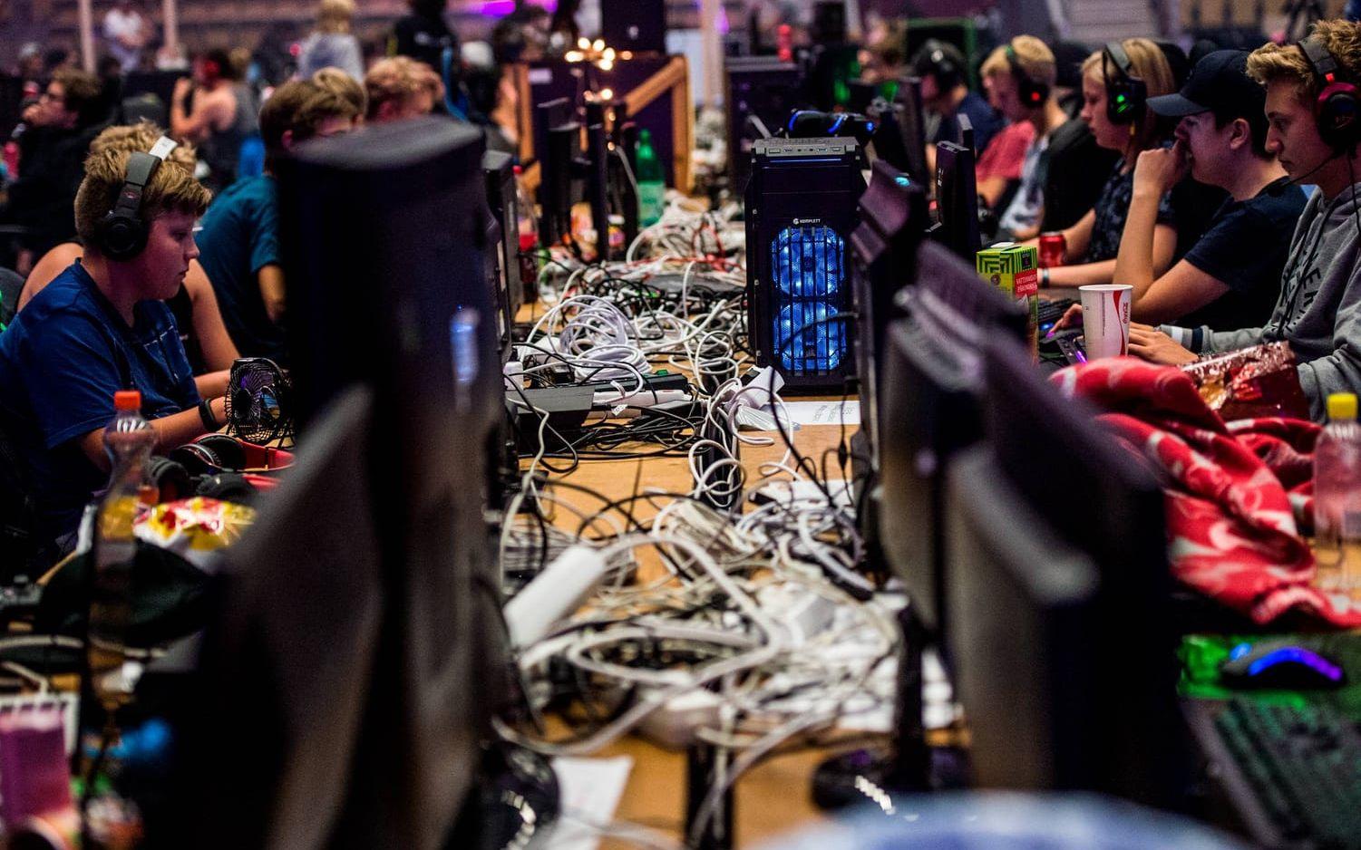 En stor mängd el- och nätverkskablar krävs för att hålla igång LAN-partyt. Bild: Olof Ohlsson.