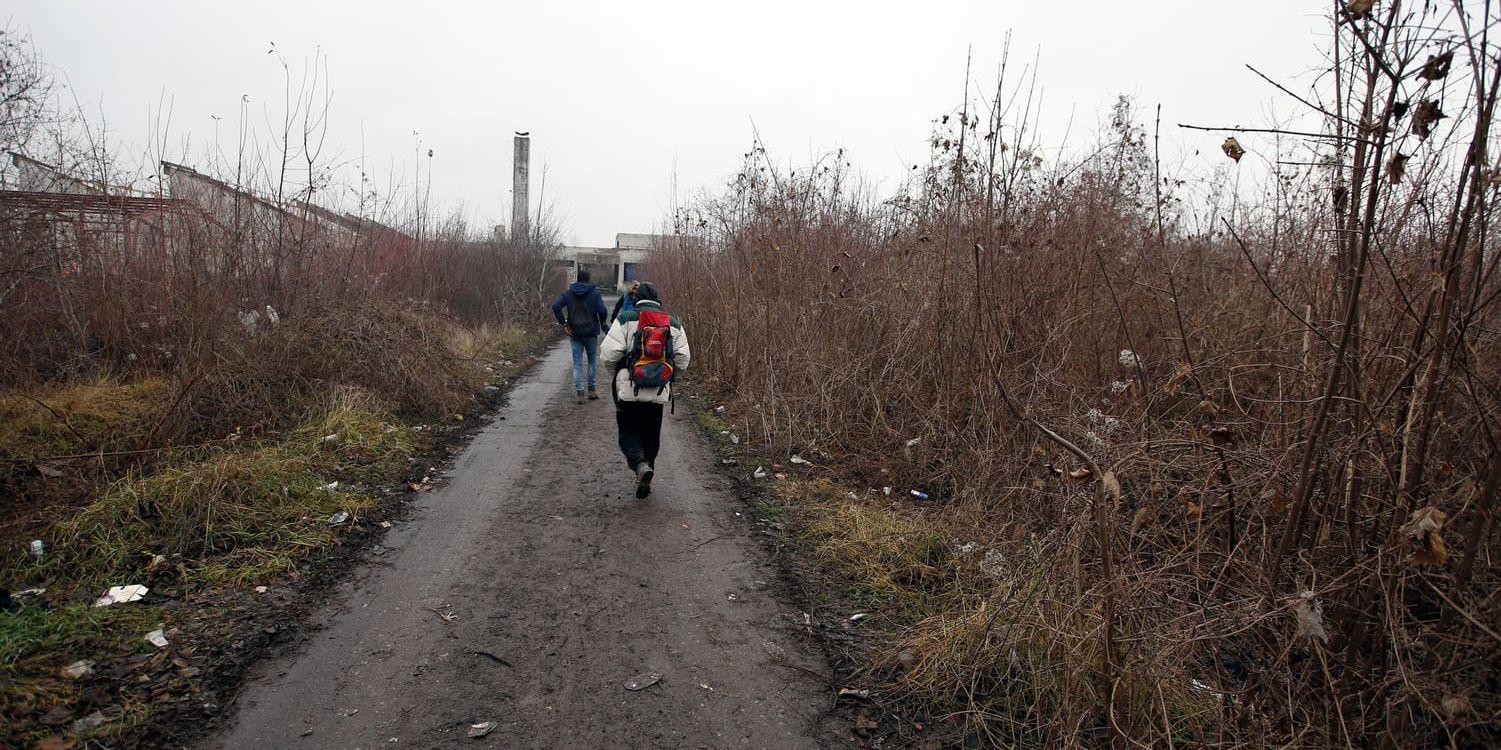 Migranter på vandring tidigare i december i närheten av den serbiska staden Sid, vid landets gräns till Kroatien.