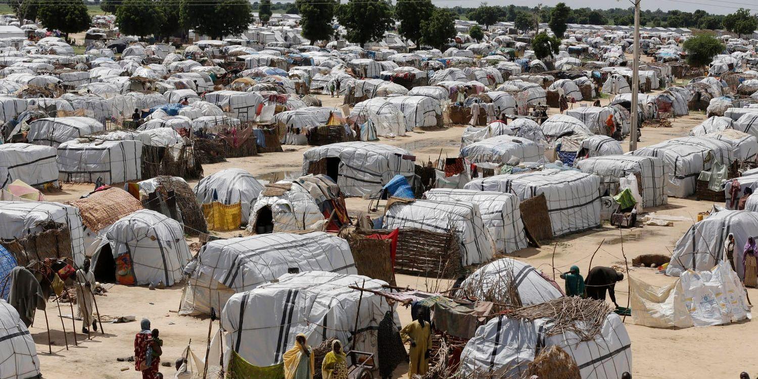 Flyktingläger i delstaten Borno i Nigeria där attacken inträffade. Delstaten är hårt drabbad av våld. Arkivbild.