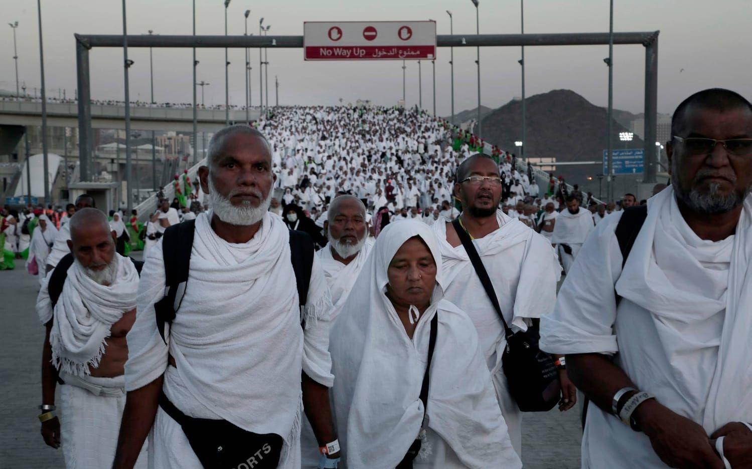 Pilgrimer anländer till Mina, nära Mecka, under hajj. Arkivbild: AP Photo/Nariman El-Mofty.