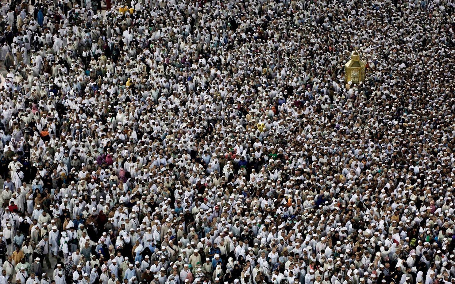 Runt två miljoner människor besöker Mecka under årets stora pilgrimssamling under hajj. Arkivbild: AP Photo/Nariman El-Mofty.