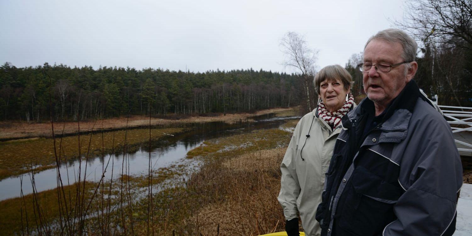Anna-Maria Eriksson Carlsson och Lennart Hillström vill att byråkratin och de höga kostnaderna minskas för de småskaliga vattenkraftverken.