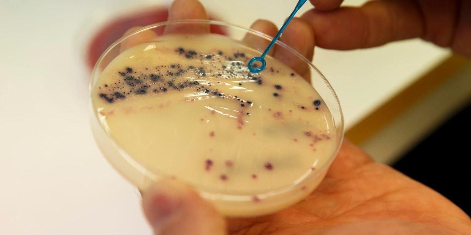 Tre patienter på infektionsavdelningar i Malmö har smittats av resistenta bakterier. Arkivbild.