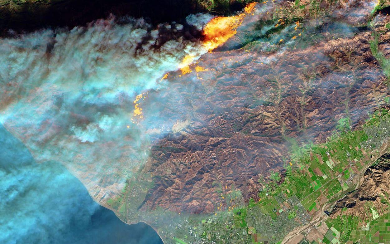 En satellitbild från European Space Agencys Sentinel-2 visar ett jättelikt brunt brandärr som Thomasbranden orsakat norr om staden Ventura i Kalifornien. BILD: European Space Agency/NASA
