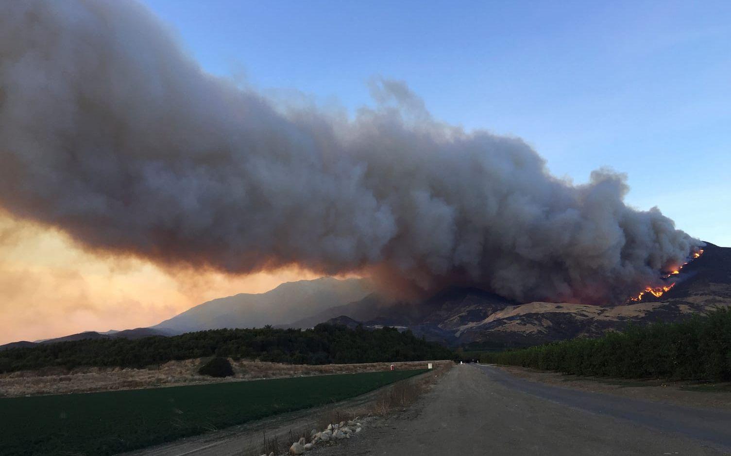 Skogsbrand i bergen bredvid highway CA-126 strax nordväst om Fillmore, Kalifornien. BILD: Amanda Lee Myers/AP

