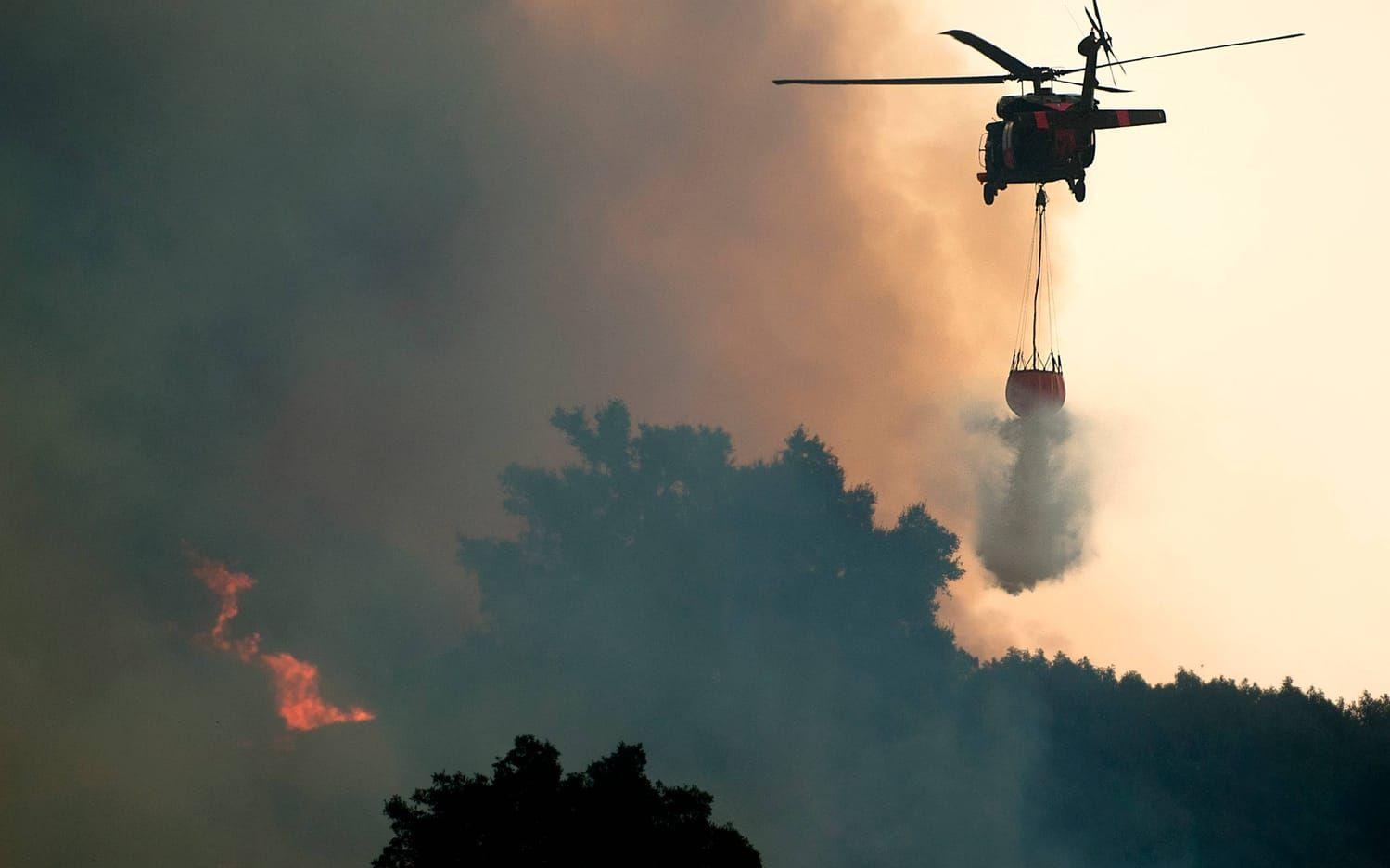 Helikoptrar kämpar mot Thomasbrandeni Ojai, Kalifornien. BILD: Noah Berger/AP
